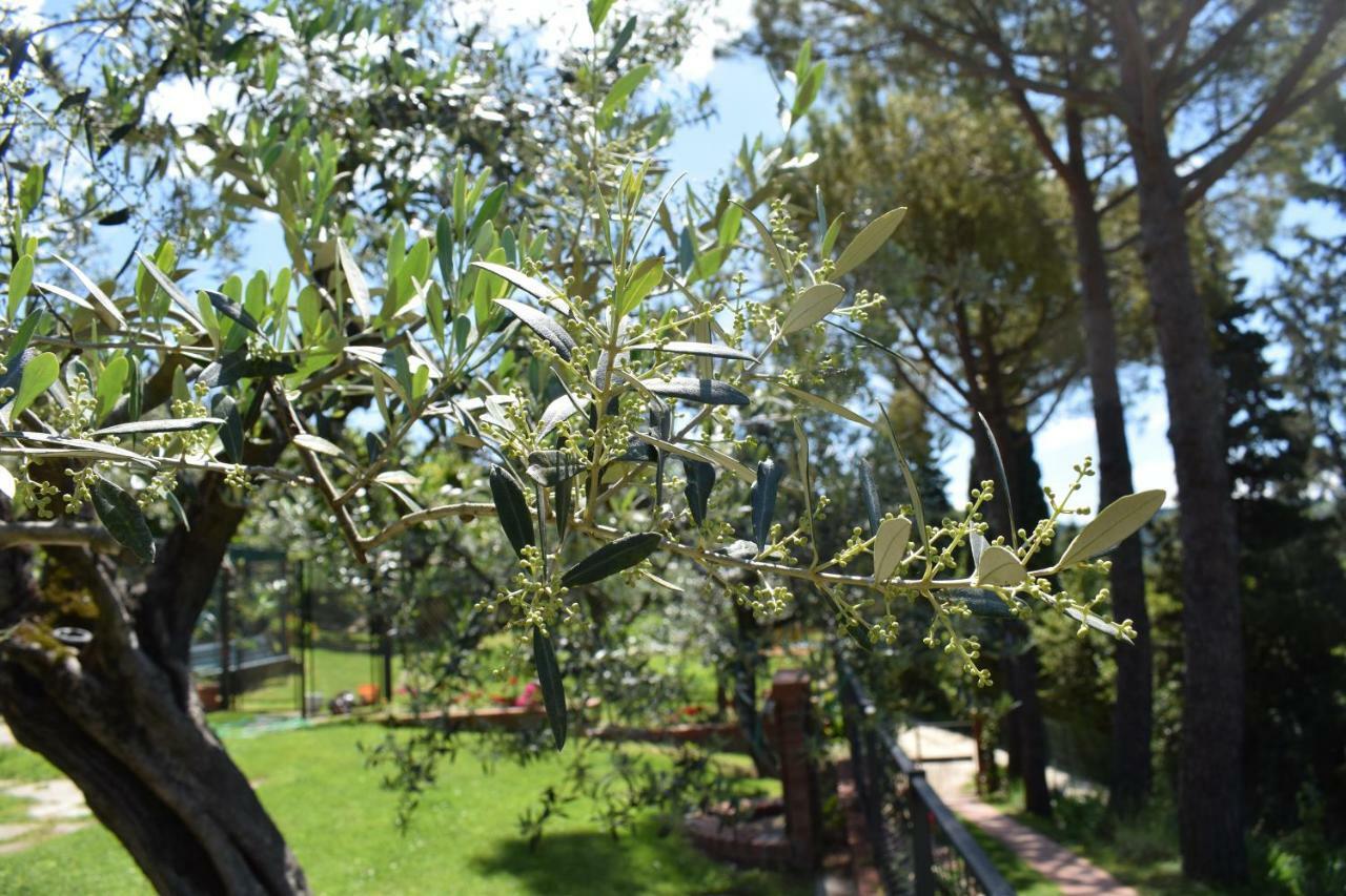 Casale Asciolo Bed and Breakfast Bagno a Ripoli Εξωτερικό φωτογραφία